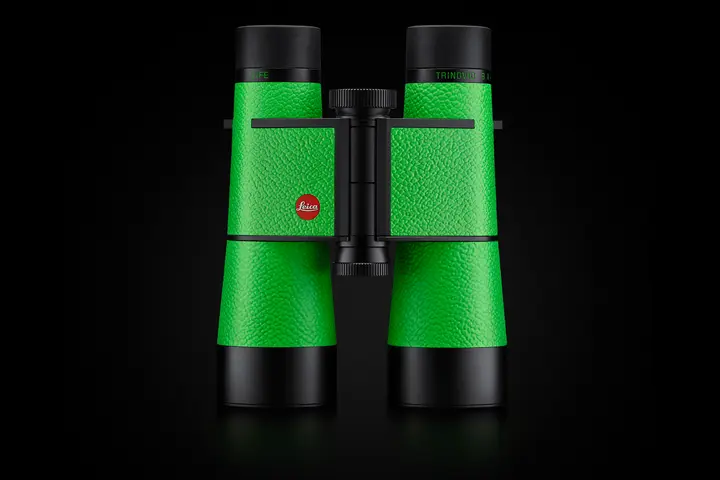 经典隽永的优雅造型