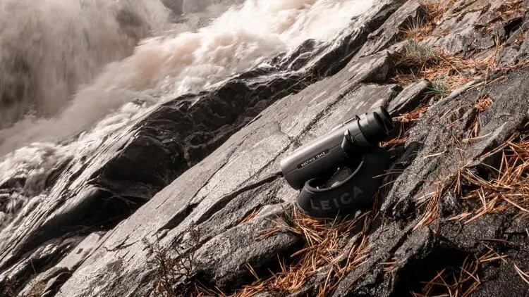 适用于任何场景