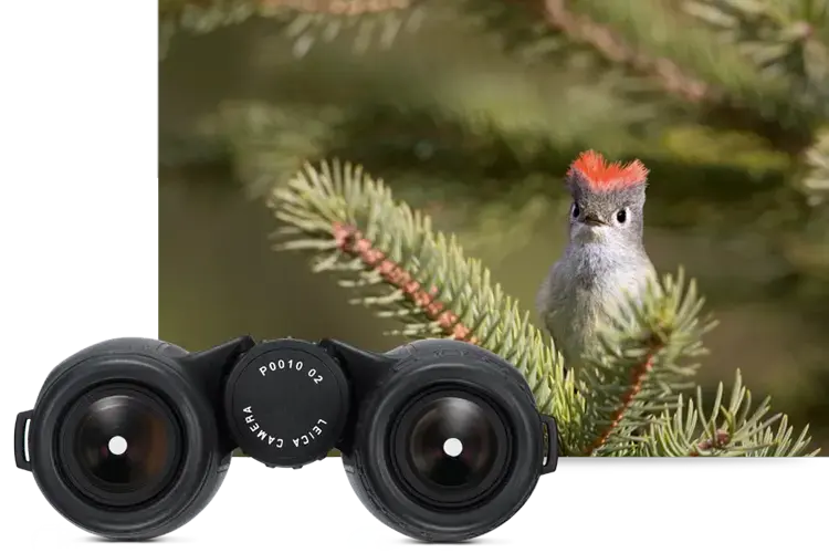 色彩鲜活，随取随用